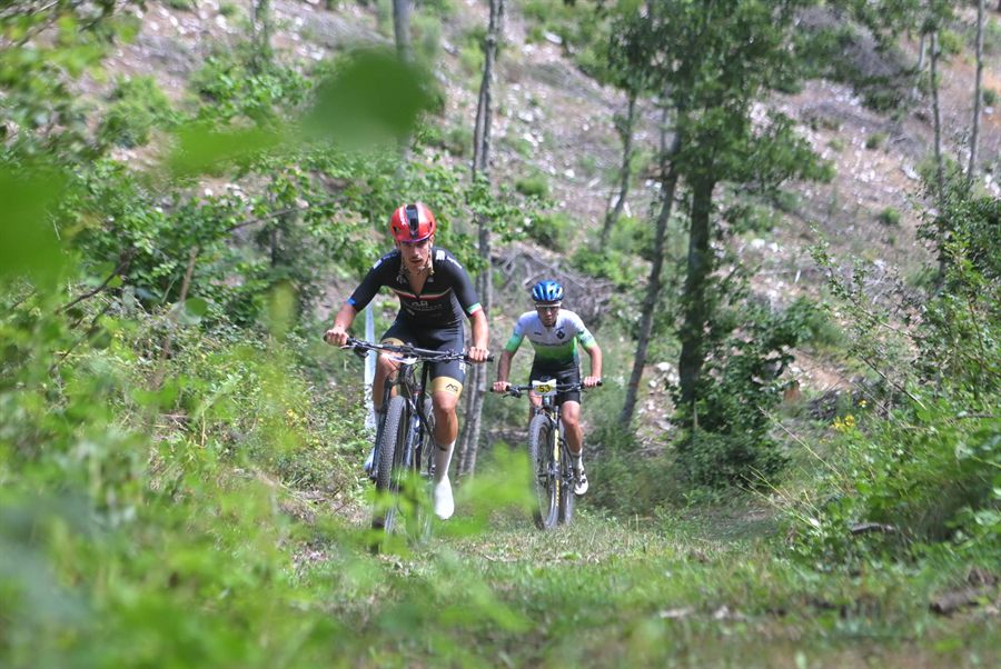 Bikers in salita fra gli alberi