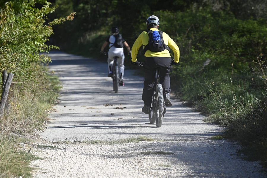 Bikers su una strada bianca fra gli alberi