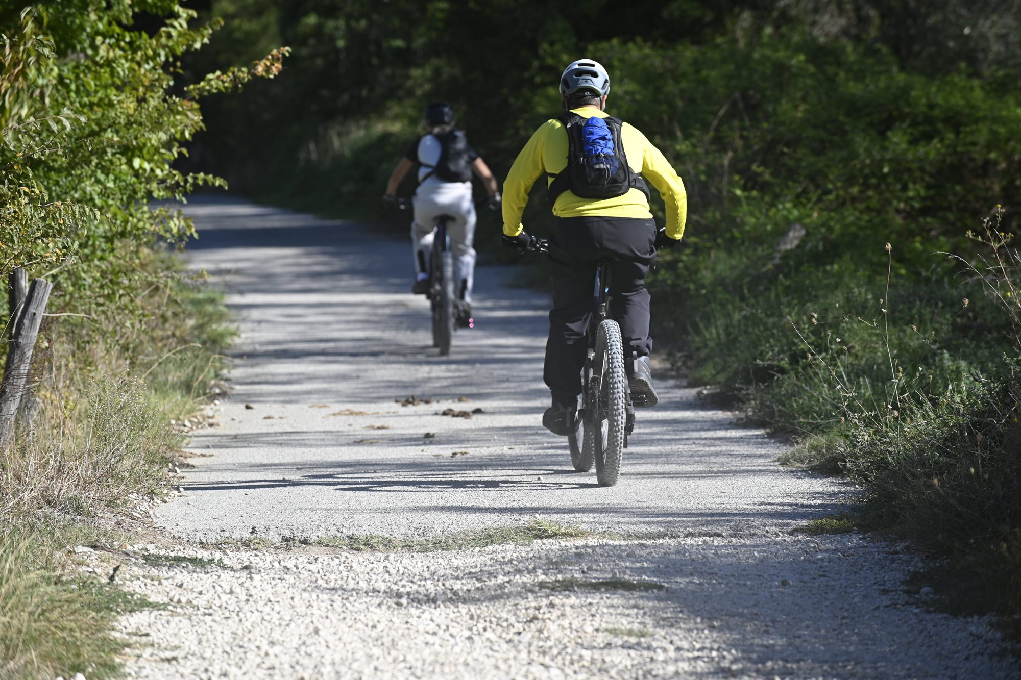 Bikers su una strada bianca fra gli alberi